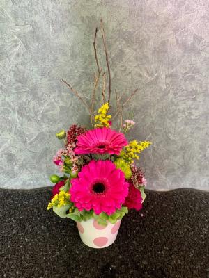 Tiny pot of gerberas Pavee Arrangement