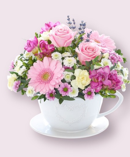 Cup of tea  