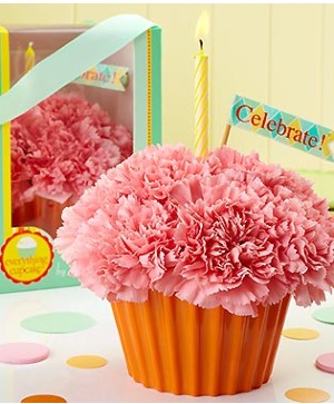 CUPCAKE IN BLOOM 