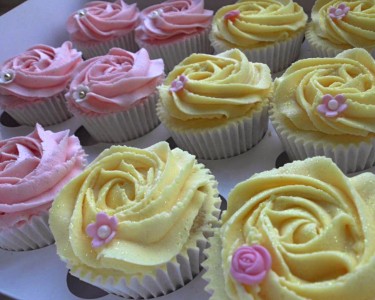 Cupcakes 