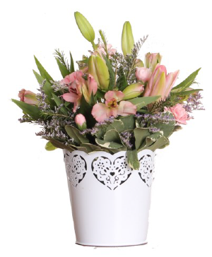 Cupid Arrangement 