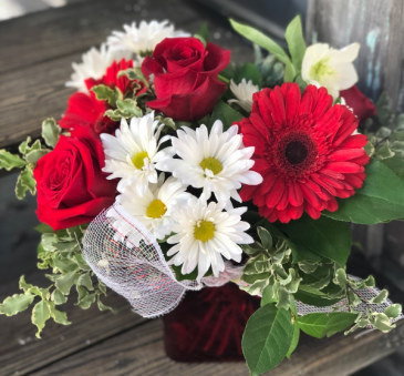 Cupid's Cube Glass Cube floral arrangement in Key West, FL | Petals & Vines