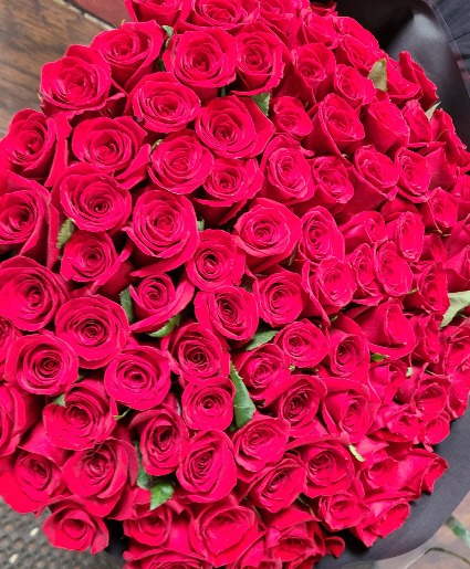 CUPIDS 100 RED ROSES  RED ROSES