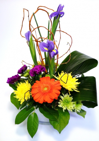 Curlique Arrangement
