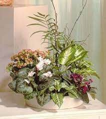 CUSTOM PLANT GARDEN