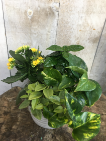 Custom Tropical Planter 