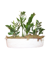 Custom ZZ Planter Modern Indoor Greenery