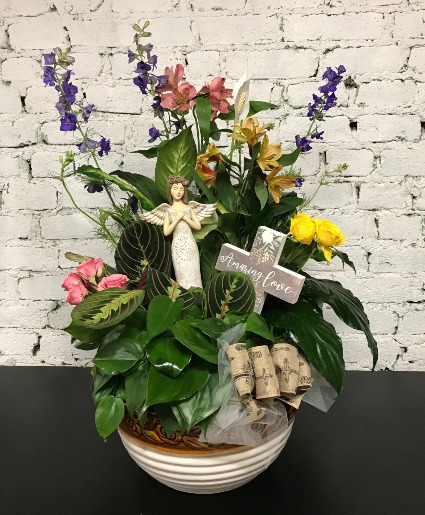 Customized Dish Garden Plant