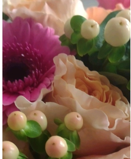 Cut fresh flowers Cut wrapped flowers