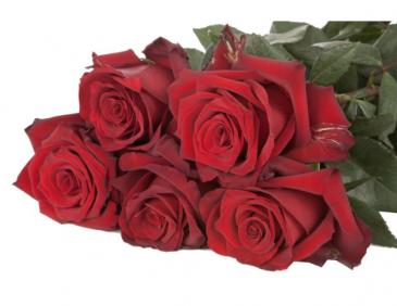 Place Orders for custom arrangements by monday 2/2 For pick-up or delivery valentine's week thursday 2/12 - 2/21------------------------------------------------- our custom designs: 'designer's choice'   in Clifton, NJ | Days Gone By Florist