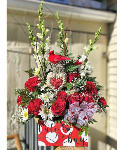 Cute as a bug *with locally crafted bird feeder* valentines day 