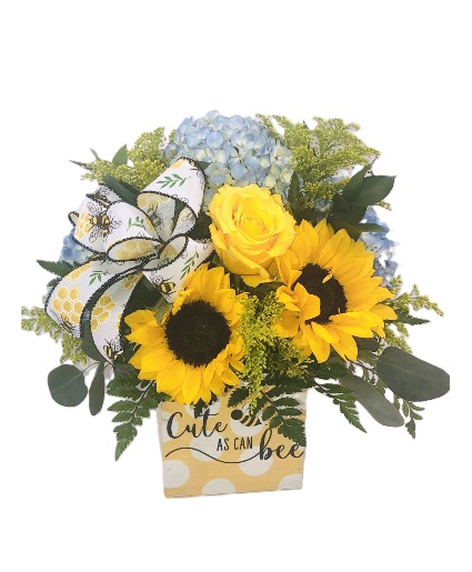 CUTE AS CAN BEE FRESH ARRANGEMENT