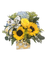 CUTE AS CAN BEE fresh arrangement