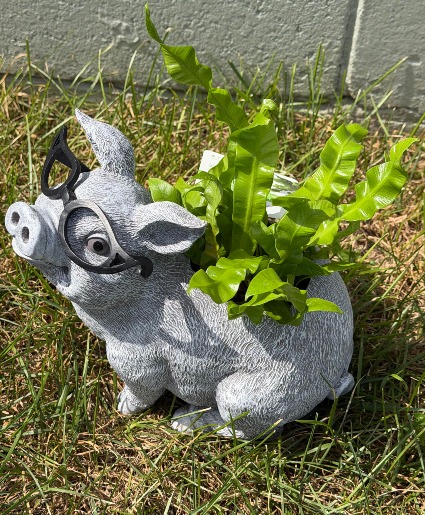 Cute Piggy Planter  Green plant