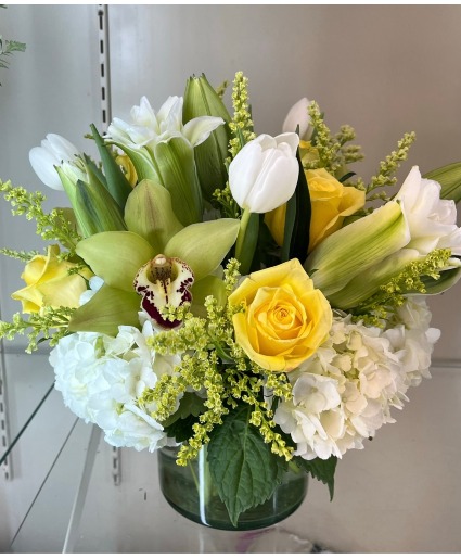 cute white and yellow 