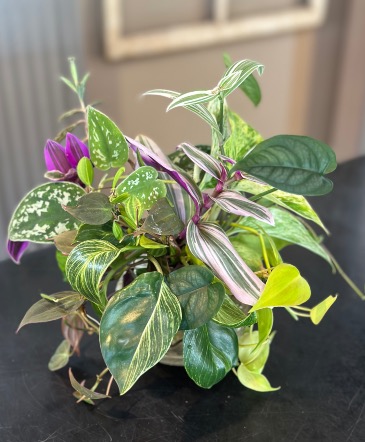 Cuttings Bouquet Designe's Choice in Cody, WY | BEARTOOTH FLORAL & GIFTS