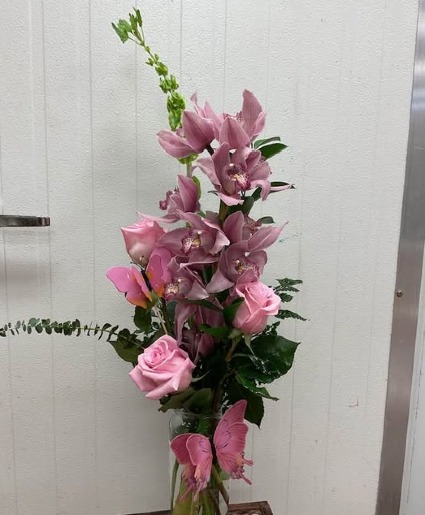 cymbidium 