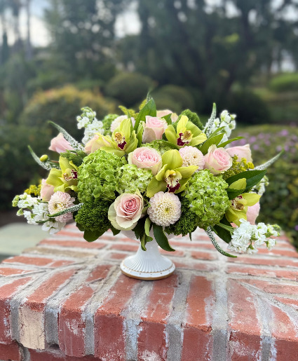 Cymbidium Bliss 