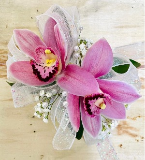 Cymbidium Blooms 