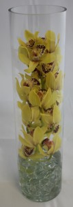 Mini Cymbidium Cylinder (Colors May Vary) 