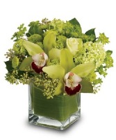 Cymbidium Orchids Cube Arrangement