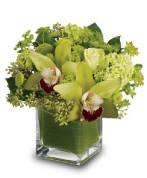 Cymbidium Orchids Cube Arrangement