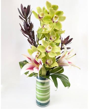 Cymbidium Orchid Arrangement Designer's Choice in Cape Coral, FL | Say It With Flowers