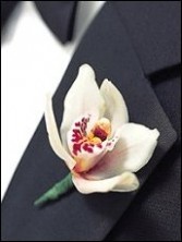 Cymbidium Orchid Boutineer 