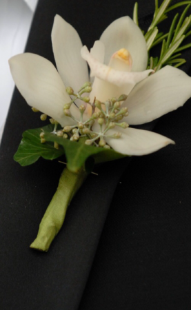 Cymbidium orchid Boutoneire  Boutoneire 