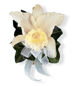 Cymbidium Orchid  Corsage