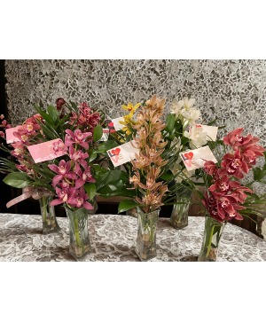 Cymbidium Orchid in Vase