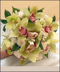 CYMBIDIUM ORCHIDS  in Fort Lauderdale, FL | ENCHANTMENT FLORIST