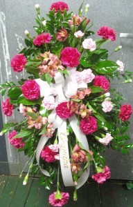 E 1 perfectly pink