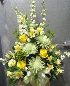 F6 fresh greens and yellows