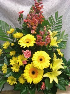 F8 BRIGHT YELLOW & ORANGES