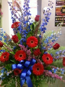 D312 masculine reds & blue