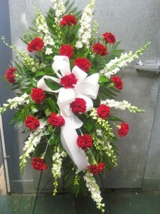 E 3 red & white carns & snaps