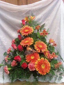 D337 vibrant orange