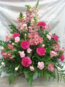D359 pink tones