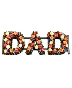 Dad easel spray 
