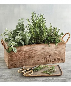 Dad's Herbs  Rustic Box