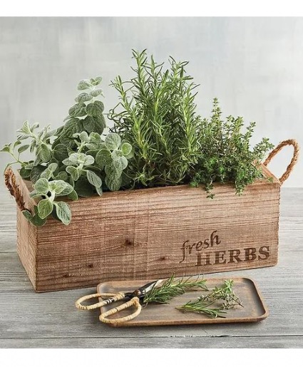 Dad's Herbs  Rustic Box