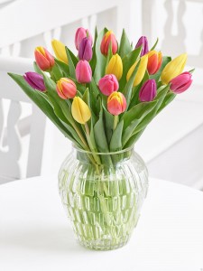 Spring Tulips Vase in Vernon, NJ | HIGHLAND FLOWERS