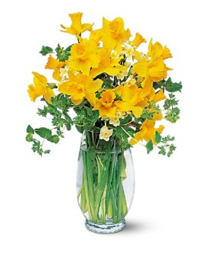 Daffodil Fields Floral Bouquet