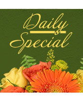 Daily Special Custom Design
