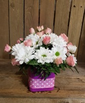 Dainty and Sweet 