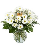 Dainty Daisies Vase FHF-E75 Fresh Vase Arrangement 