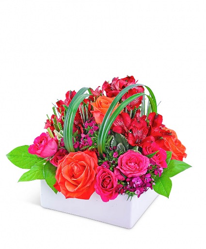 Daiquiri Delight Flower Arrangement 