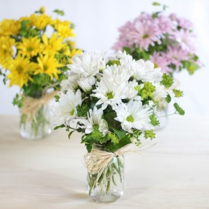 Daisey Day Vase of fresh daisey(Color May vary