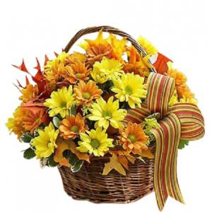 Daisies All Around   FHF-F131 Fresh Flower Arrangement 